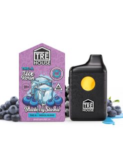 Blueberry Slushie 5g