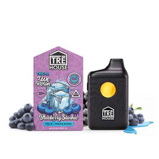 Blueberry Slushie 5g