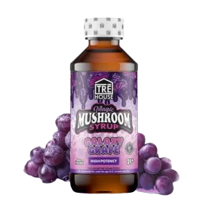 Magic Mushroom Syrups