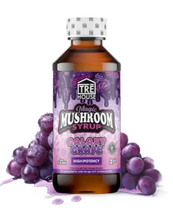 2g Mushroom Syrup