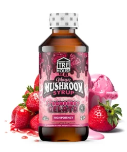 2g Magic Mushroom Syrup